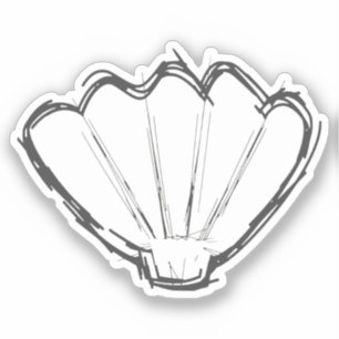 Seashell Sketch