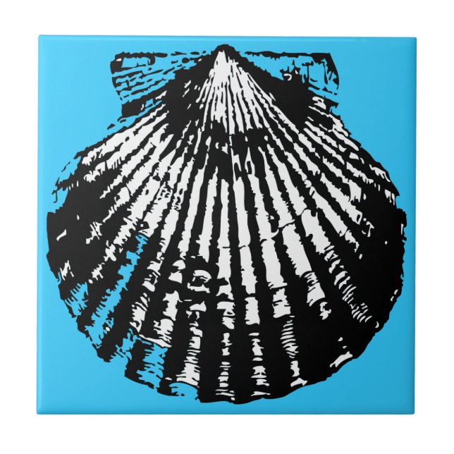 Seashell Sketch Tile (Front)