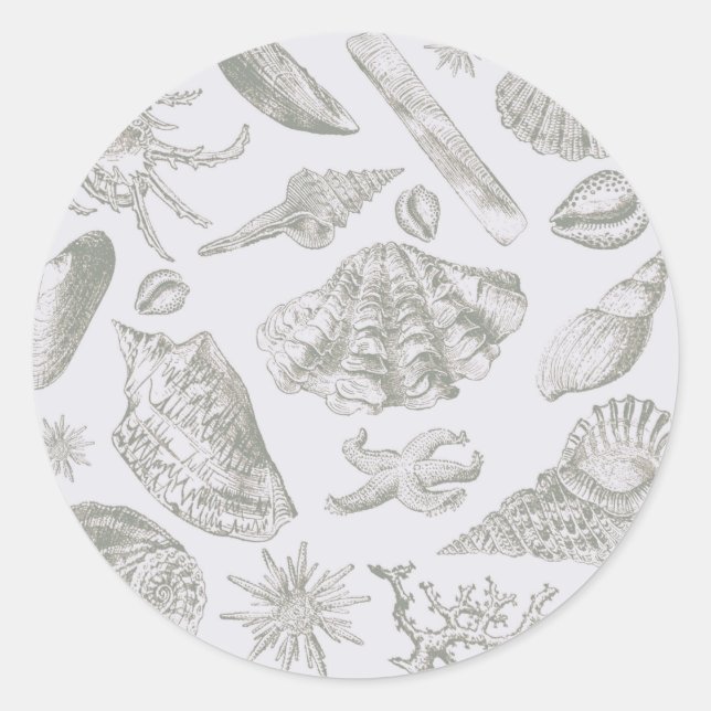 Seashell Soft Antique Art Beach Shells Classic Round Sticker (Front)