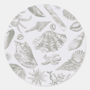 Seashell Soft Antique Art Beach Shells Classic Round Sticker