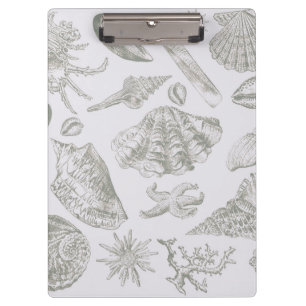 Seashell Soft Antique Art Beach Shells Clipboard