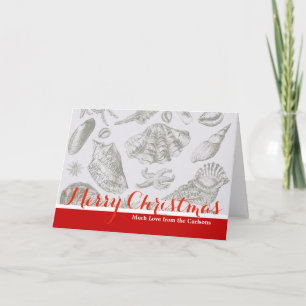 Seashell Soft Antique Art Beach Shells Holiday Card