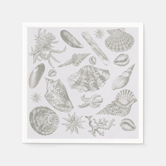 Seashell Soft Antique Art Beach Shells Napkin (Front)