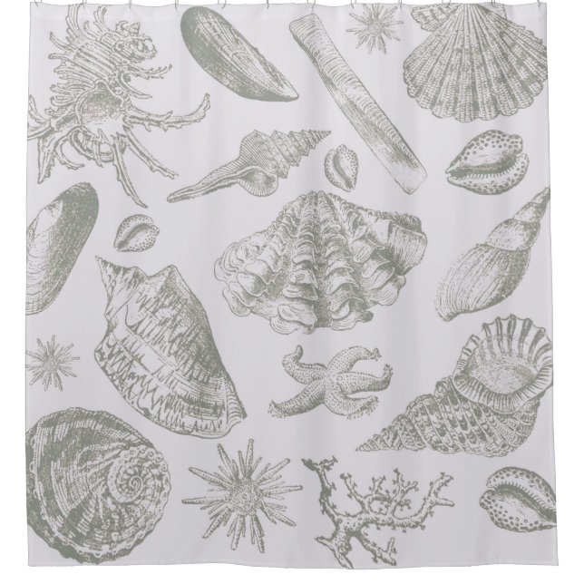 Seashell Soft Antique Art Beach Shells Shower Curtain (Front)