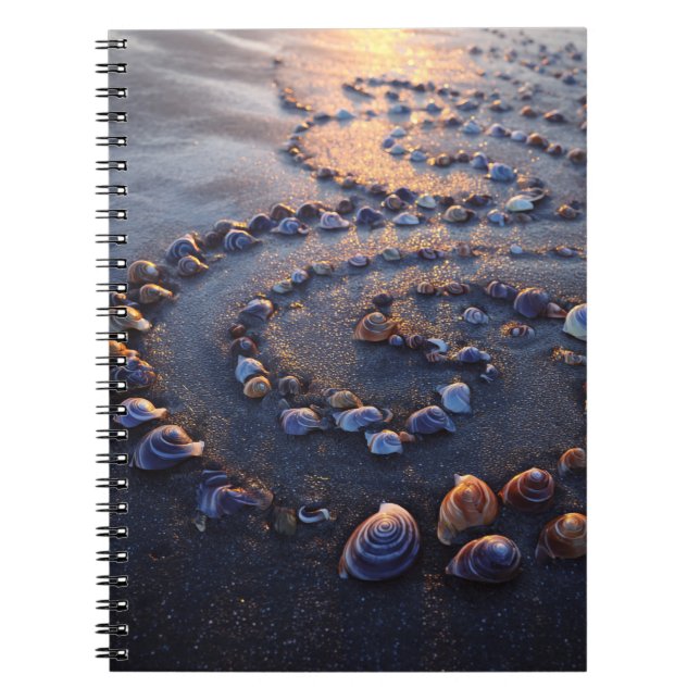 Seashell Spiral Sunset Beach Notebook (Front)