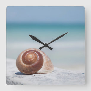 Seashell   St. Petersburg, Florida Square Wall Clock