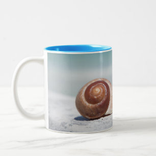Seashell St. Petersburg, Florida Two-Tone Coffee Mug