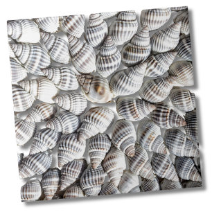 Seashell Starburst Nautical Print Ceramic Tile
