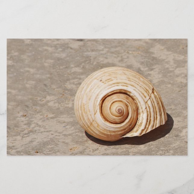 SeaShell Stationery (Front)