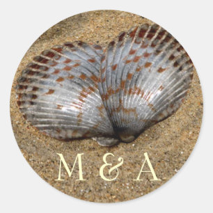 seashell stickers