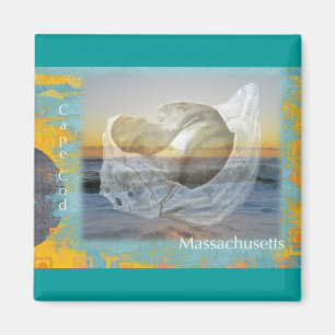 Seashell & Surf - Cape Cod Massachusetts Magnet