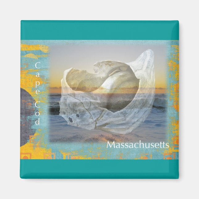 Seashell & Surf - Cape Cod Massachusetts Magnet (Front)
