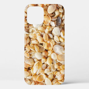 Seashell textured summer beach background. iPhone 12 case
