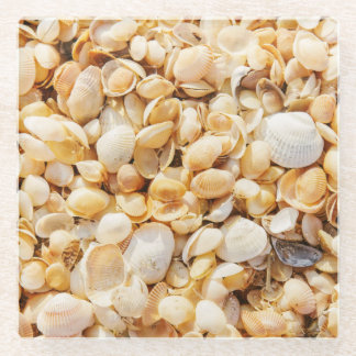 Seashell textured summer beach background. glass coaster