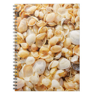 Seashell textured summer beach background. notebook