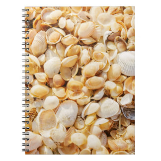 Seashell textured summer beach background. notebook