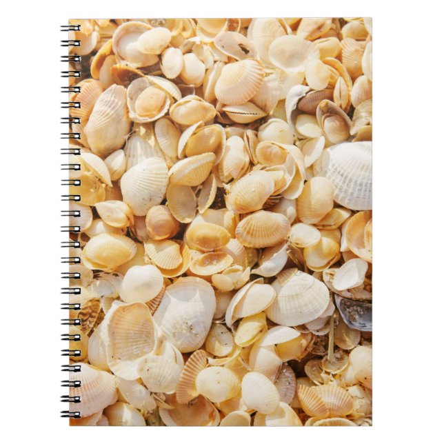 Seashell textured summer beach background. notebook (Front)