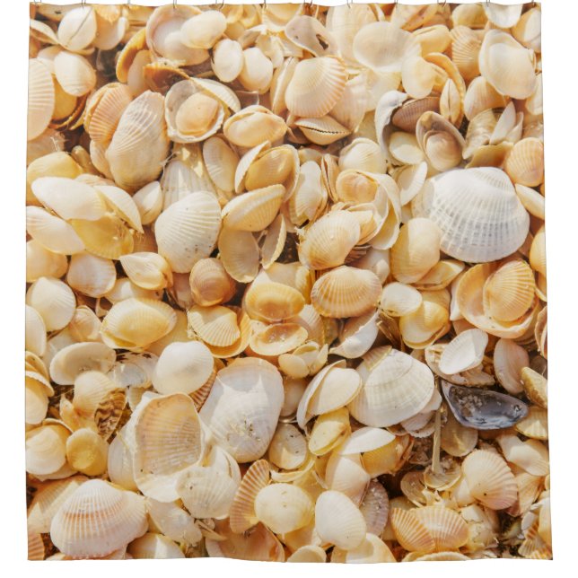 Seashell textured summer beach background. shower curtain (Front)