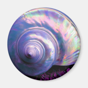 Seashell tropical opal mother of pearl look purple magnet
