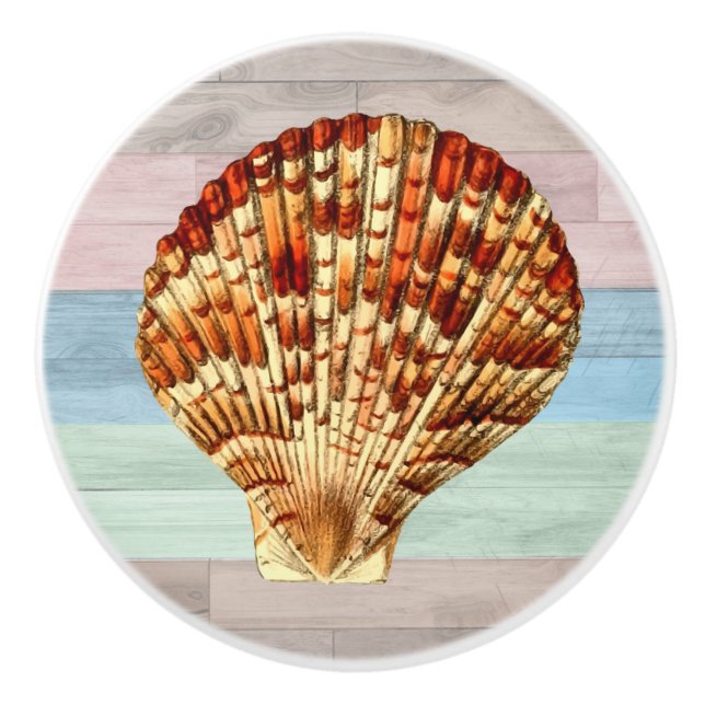 Seashell Wood Nautical Beach Shells Blue Peach Ceramic Knob (Front)