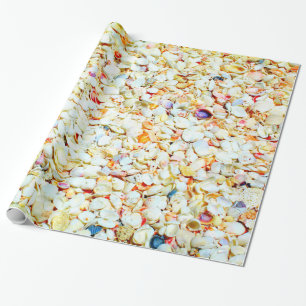 Seashell Wrapping Paper