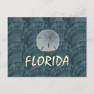 seashellcollage, sanddollar, FLORIDA Postcard