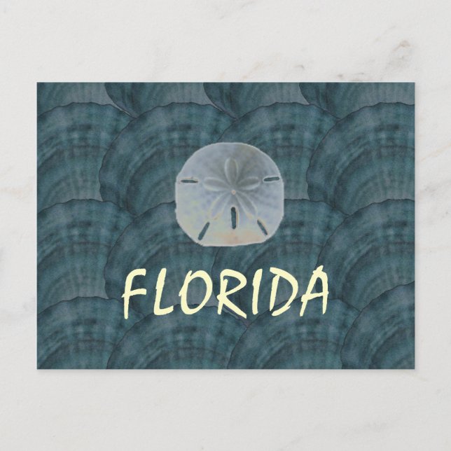 seashellcollage, sanddollar, FLORIDA Postcard (Front)