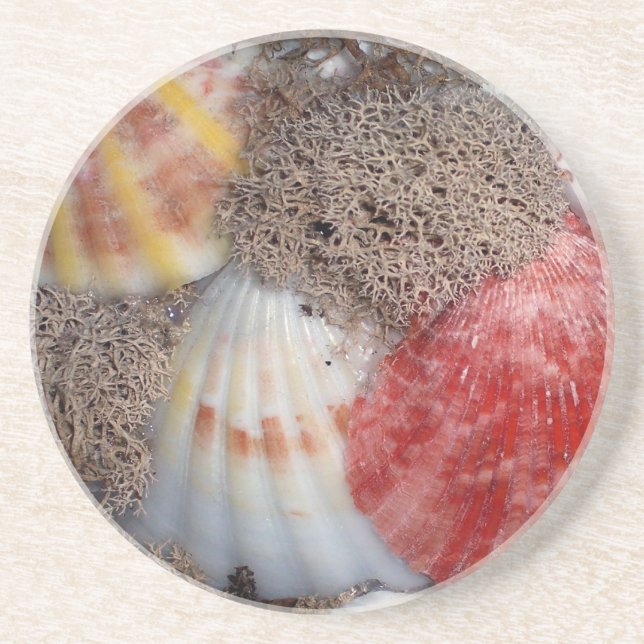 Seashells 4 coaster (Front)