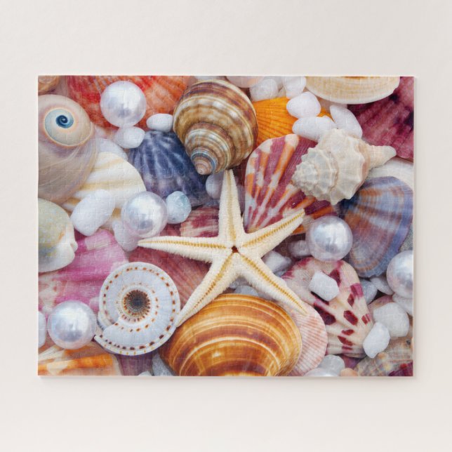 Seashells 520 piece puzzle (Horizontal)