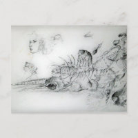 SEASHELLS AND YOUNG GIRL Black White Drawing