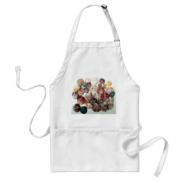 Seashells Apron (Front)
