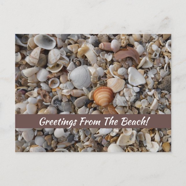 Seashells At The Sea Shore   Card (Front)