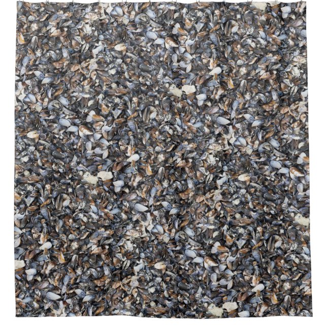 Seashells background shower curtain (Front)