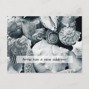 Seashells Black and White New Address Announcement Postcard