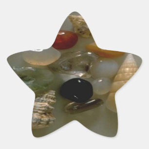 Seashells by the Seashore- Star Sticker