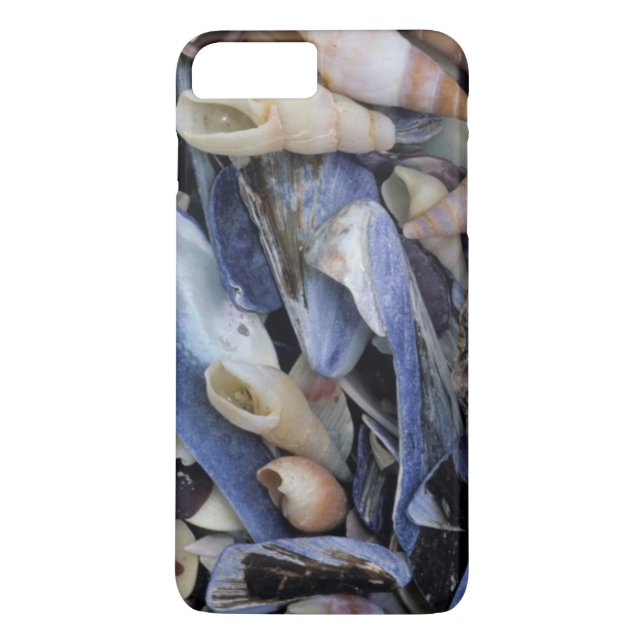 Seashells, Cape Town, Western Cape Case-Mate iPhone Case (Back)