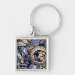Seashells, Cape Town, Western Cape Key Ring