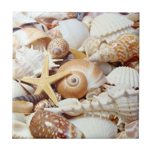 Seashells Ceramic Tile (Front)