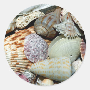 seashells classic round sticker