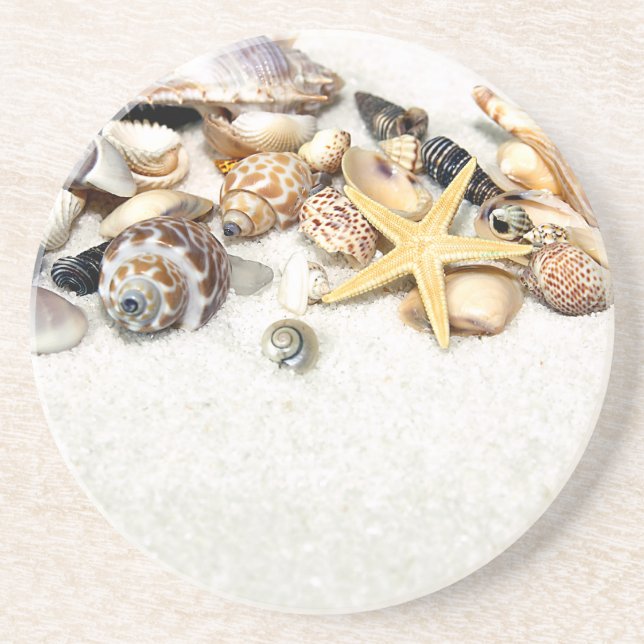Seashells Coaster (Front)