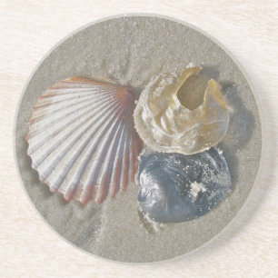 Seashells Coaster