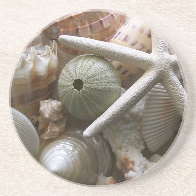 Seashells Coaster (Front)