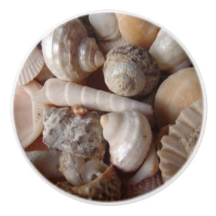 Seashells, Cockleshells, Scallops - Brown White Ceramic Knob