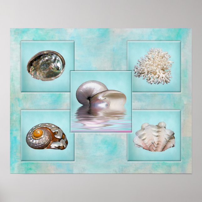 Seashells' Collage Poster - Aqua Background (Front)