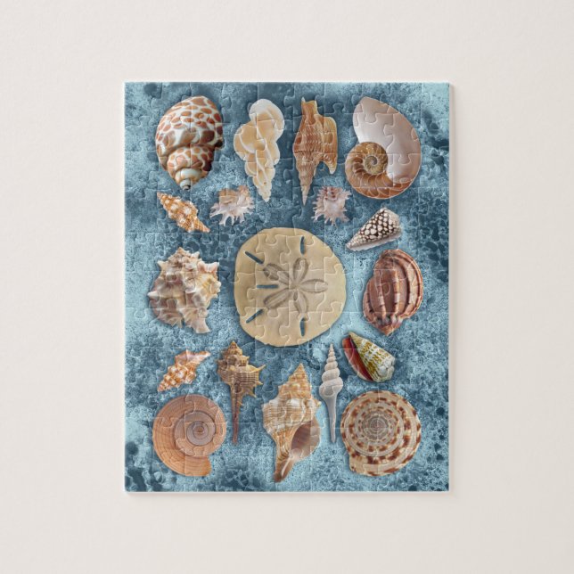 Seashells collection jigsaw puzzle (Vertical)