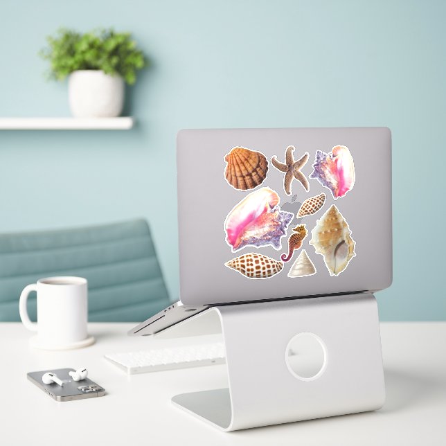Seashells Conchs Starfish Collection (Laptop On Desk)
