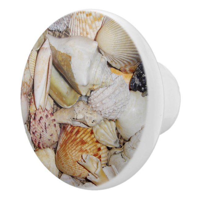 Seashells Drawer Pull (Right)