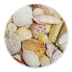 Seashells Drawer Pull