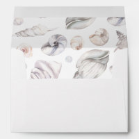 Seashells
