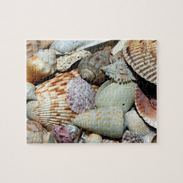Seashells gathered up from beach Sanibel Island Fl Jigsaw Puzzle (Horizontal)